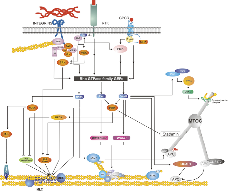 Integration and regulation graph